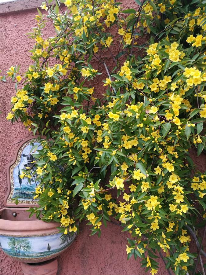 Giusy Bed And Breakfast Marina Di Carrara Extérieur photo