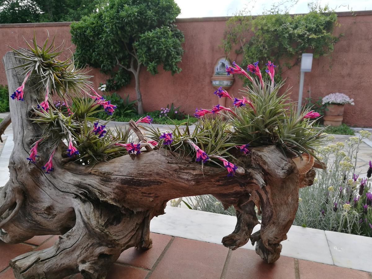 Giusy Bed And Breakfast Marina Di Carrara Extérieur photo